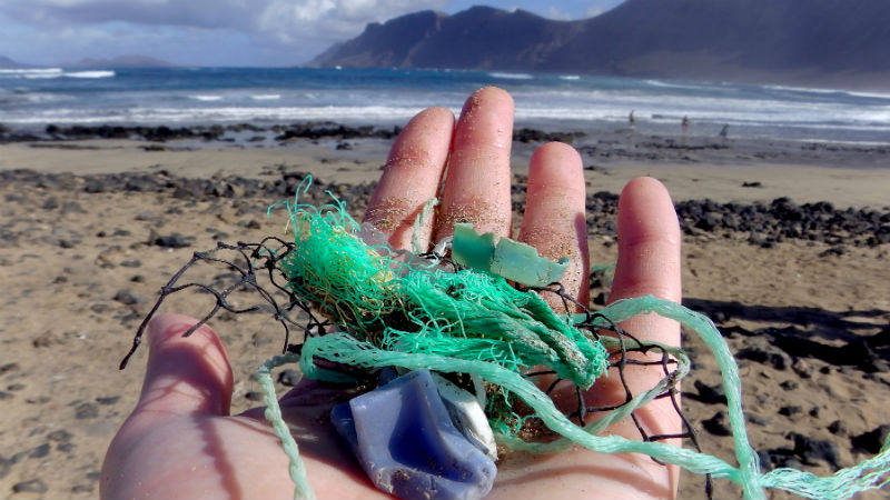201709 muestras de plastico playa de Canarias Famara