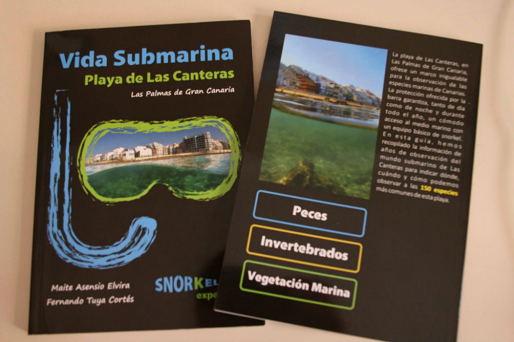 snorkeling-experience-ecoturismo-fluyecanarias-vida-submarina-las-canteras