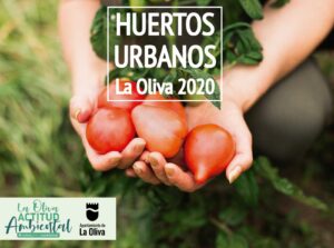 Los vecinos de La Oliva, Fuerteventura, dispondrán de huertos urbanos municipales