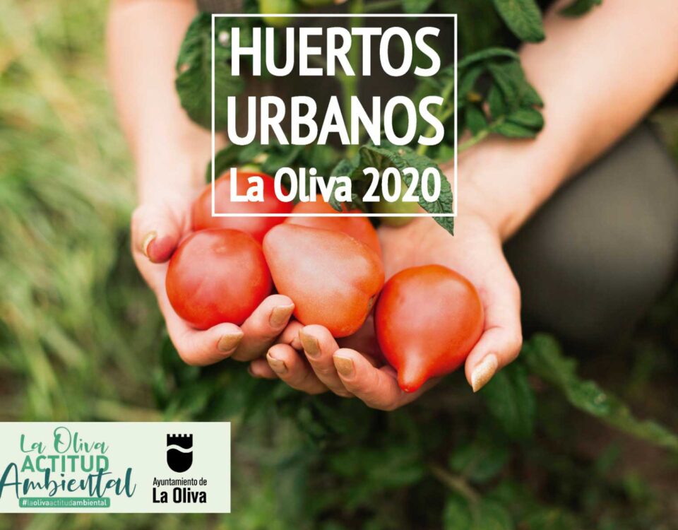 Los vecinos de La Oliva, Fuerteventura, dispondrán de huertos urbanos municipales
