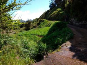 Barranco de la Porquera, parque rural de Anaga