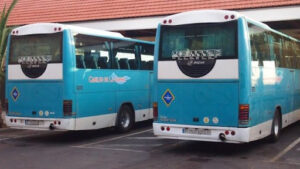 la gomera guagua