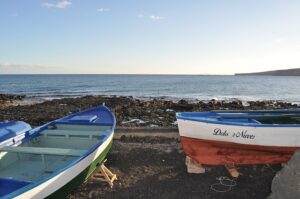marca Pesca Artesanal