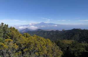Parque Nacional de Garajonay
