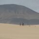 Plan de Empleo de Fuerteventura contra el cambio climático