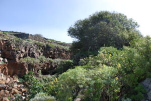 Tenerife