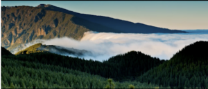 Turismo de Canarias